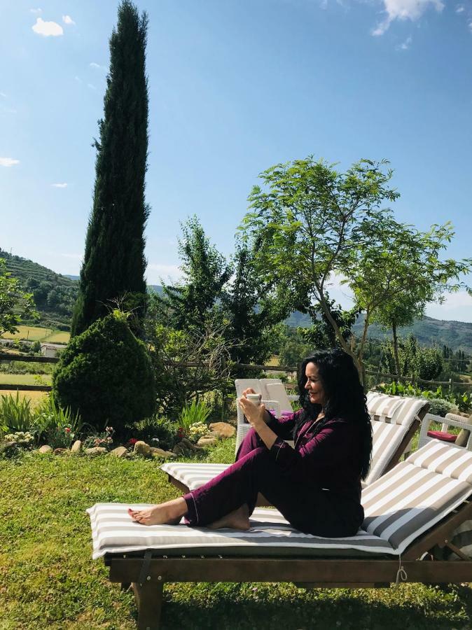 Bodegas De Arnes - Adults Only 2* Graus